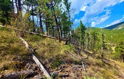 2855 Allen Gulch Road, MT 59648