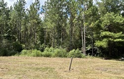 644 Case Rd, Slocomb, AL 36375