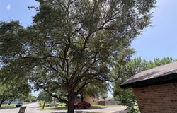 1009 Bowie St, Lockhart, TX 78644