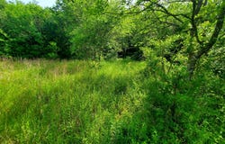 9999 Private Road lot: 1194, Celeste, TX 75423