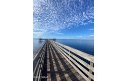 820 OLD BUBBLY Road, PIERSON, FL 32180