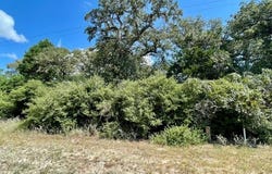 Park Rd 57, Somerville, TX 77879