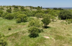 11 Mystic Mountain Drive, Gustine, TX 76455