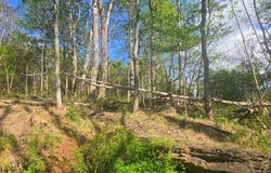 Huddle Rd. lot: 0, Ivanhoe, VA 24350