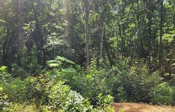 418 Shady Grove Rd, HOLLADAY, TN 38341