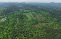 Ryan Road, Oden, AR 71961