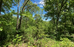 Mule Barn Drive, Cape Fair, MO 65624