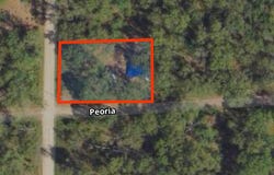 102 E Peoria Avenue, Idlewild, MI 49642