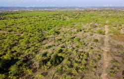CR 253, Comanche, TX 76442