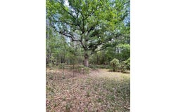Calhoun 50 Road, Hampton, AR 71744