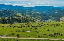 Brotnov Rd., Clearwater, ID 83552