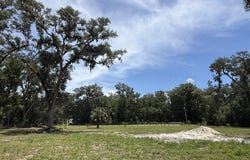 110 NE 558th St, Old Town, FL 32680
