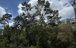 . Waterfall Drive, Spring Hill, FL 34608