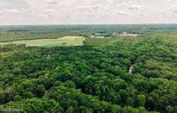 Parnel Road, Cope, SC 29038