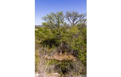 816 Cornelius Road, Utopia, TX 78884