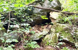 Trillium Way, Clyde, NC 28721