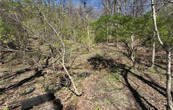 Bower Hill Road, Upper St Clair, PA 15241