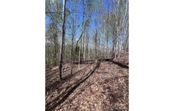 High Pines Loop, Lake Lure, NC 28746