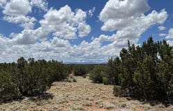 County Road 8309, Concho, AZ 85924