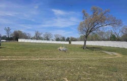 8500 Edgemont Road, Greers Ferry, AR 72067