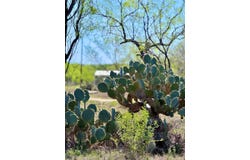 3775 Baker Rd, Kingsbury, TX 78638