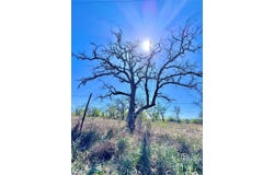 3775 Baker Rd, Kingsbury, TX 78638