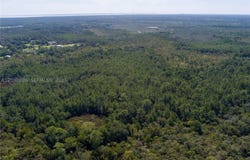 Mims, FL 32754
