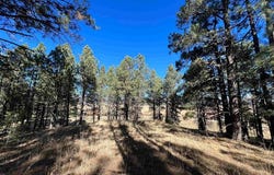 1 CHAPEL RD & CR A34, Rociada, NM 87742