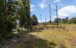 Tract 2 FM 49, Big Sandy, TX 75755