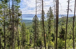 64 Lone Wolf Trail, Lakeside, MT 59922