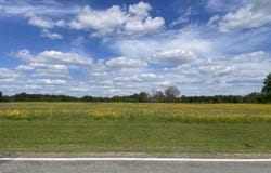 Highway 291, Prattsville, AR 72129