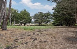 121 Magellan AVE, Half Moon Bay, CA 94019