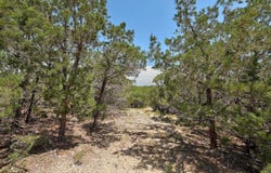 Windy Hills Rd, Dripping Springs, TX 78620
