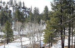 3373 Whisper Lane, Heber, AZ 85928