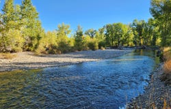 Bartlett Point Rd., Mackay, ID 83251