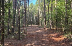 Tract 3A Cr 2322, Rusk, TX 75785