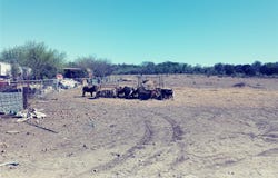 11717 Schriber Rd, Buda, TX 78610