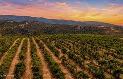 1495 Rafello Drive, Ukiah, CA 95482