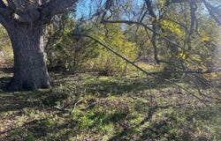 LCR 454, Groesbeck, TX 76642