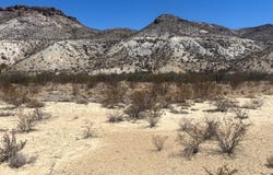 26549 Box Rd, Terlingua, TX 79852