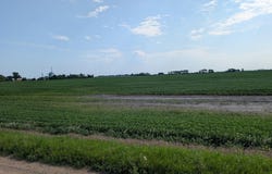 60713 150th St, Chokio, MN 56221