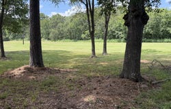 17 MELBOURNE CT, Montgomery, TX 77356