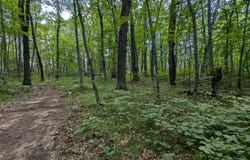 Fosmo Drive lot: 2, Webster, WI 54893