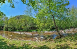 53 & 13 SIDING LN, VESUVIUS, VA 24483