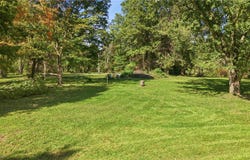41096 State Route 517, Lisbon, OH 44432