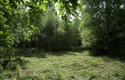 238 Smithton Road, Freedom, ME 04941