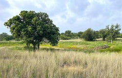 1111 Ranch Road 2768, Llano, TX 78643