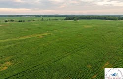 SW 600 Road, Montrose, MO 64770