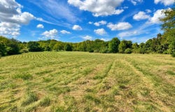 Tract 3 4.24 Ac County Rd 4008, Holts Summit, MO 65043
