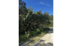 NE 306th Ave, Old Town, FL 32680